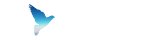 SUPER FLY